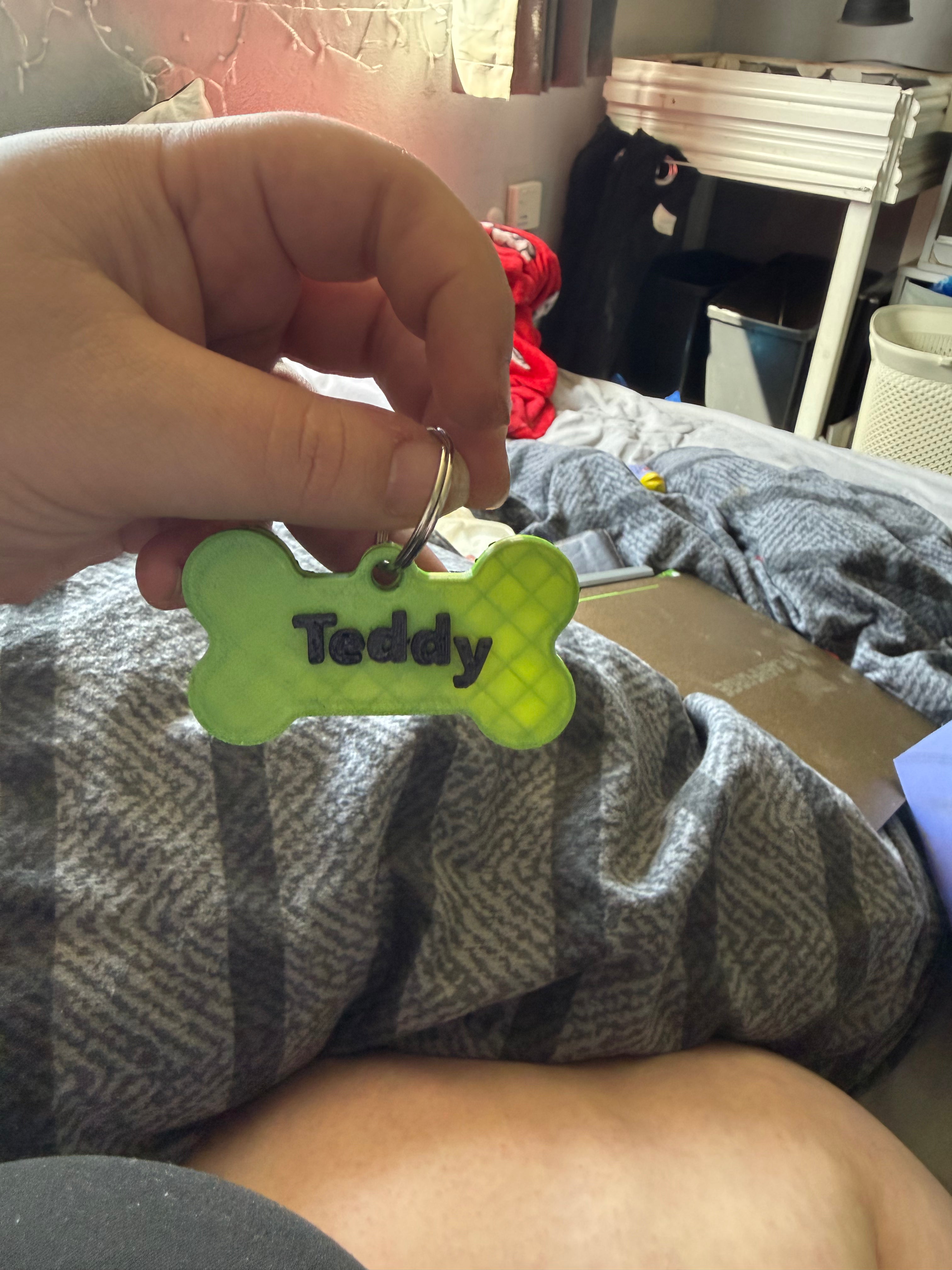 Formula 1 Pet tags